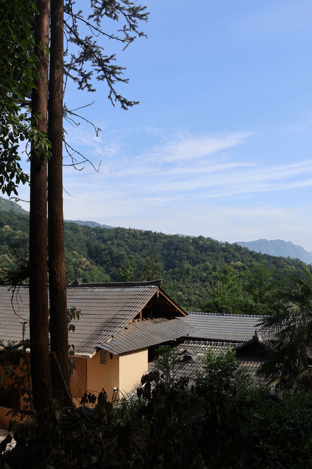 雅安碧峰峽！住進風景絕佳嘅柴火私湯目的地