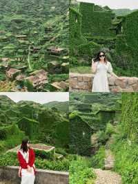 反向旅遊•呢座寶藏小島後勁真係好大