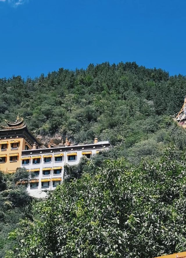 蘭州小拉薩一定要睇下