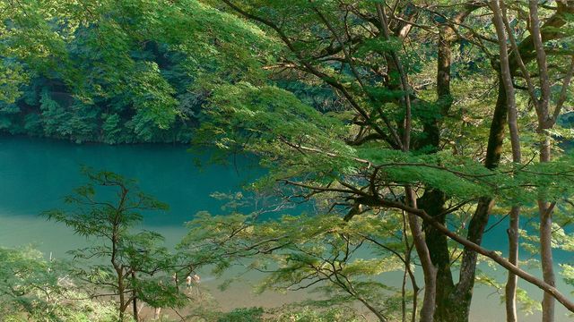 日本6日遊｜小長假超全遊玩攻略