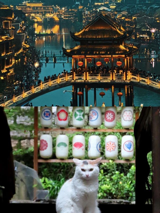 畀第一次去張家界嘅女仔一啲小建議