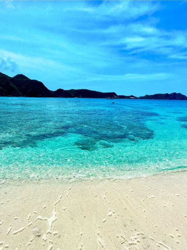 唔使飛馬代！沖繩夏日果凍海寶藏路線