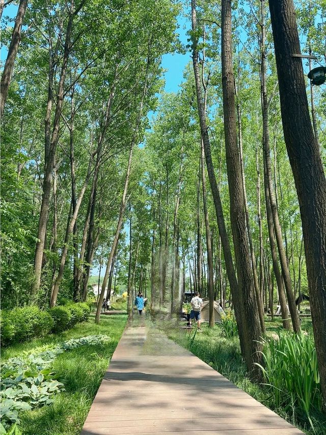 西安周邊疙瘩村寶藏遛娃之地