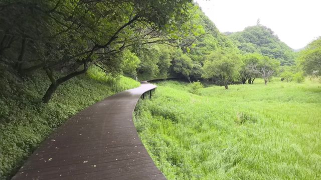 人生建議：帶小朋友去神農架 一定要6-8月去
