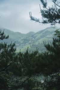 雨季嘅松陽，再次激起我隱居嘅心