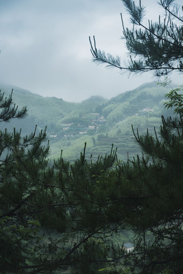 雨季嘅松陽，再次激起我隱居嘅心