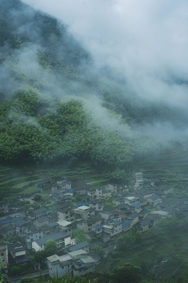 雨季嘅松陽，再次激起我隱居嘅心
