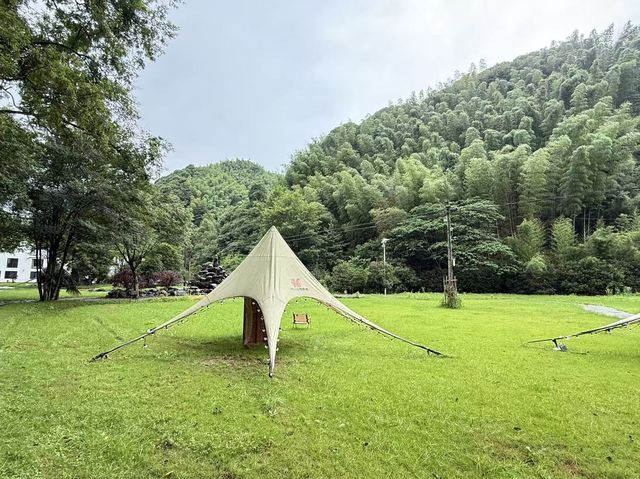 住進森林氧吧｜遠離喧囂嘅治癒