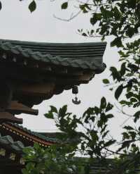 太平岩寺之旅，錦江之星品尚畀你超暖心體驗！