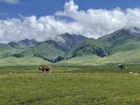 Not many people have been to these beautiful places in Xinjiang