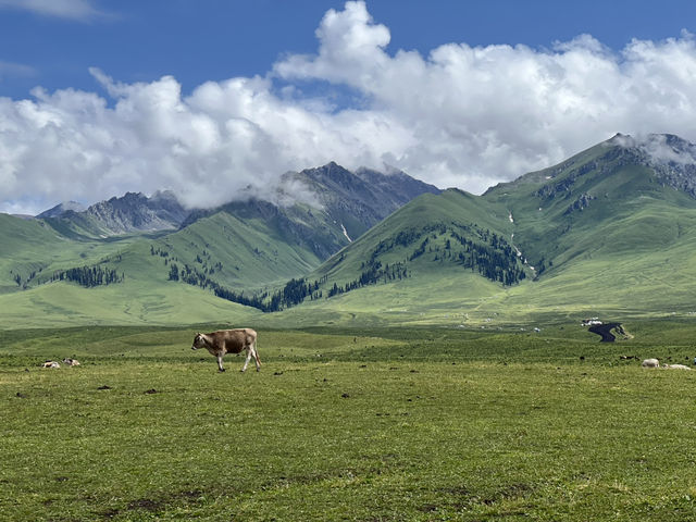 Not many people have been to these beautiful places in Xinjiang