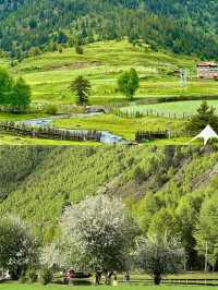 喺川西！去山裡面感受20度嘅夏天