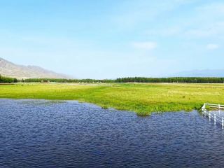 Dezhou Workers' Must-Visit Spot! Wenquan County's Super Cool Summer Weekend Getaway 🥰
 
Dezhou friends, looking for a cool place to escape the summer heat and relax on the weekend? Then come to 