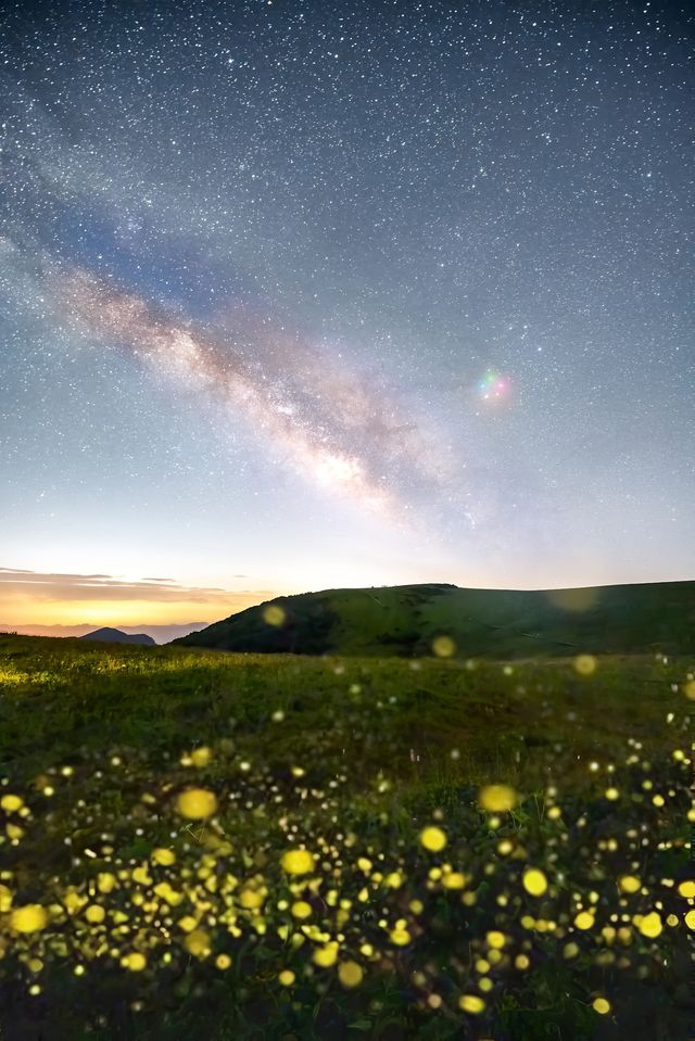 喺西雙版納，遇見螢火蟲嘅盛夏夜之夢