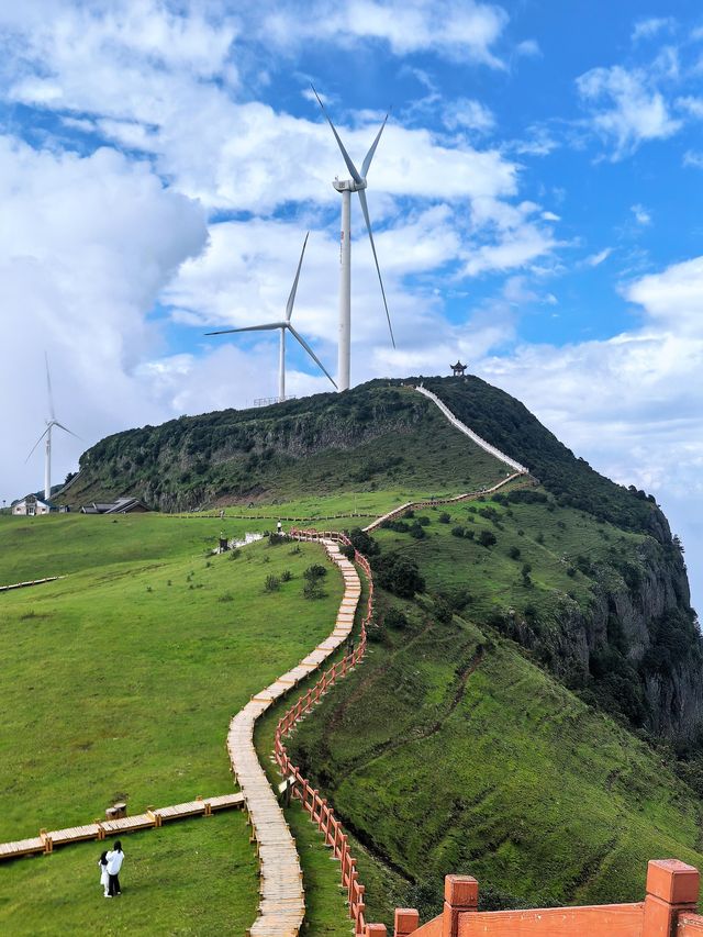 烏蒙大草原自駕攻略 | 雲端草原、佛光秘境、波浪公路，這篇全搞定！ 基礎資訊 - 位置：貴州
