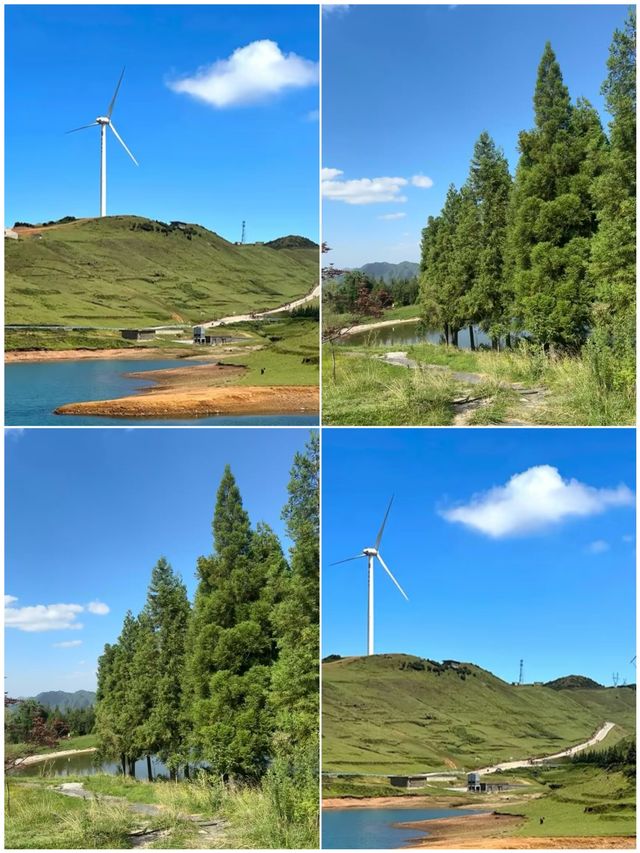 夏天適合帶小朋友去嘅超正城市