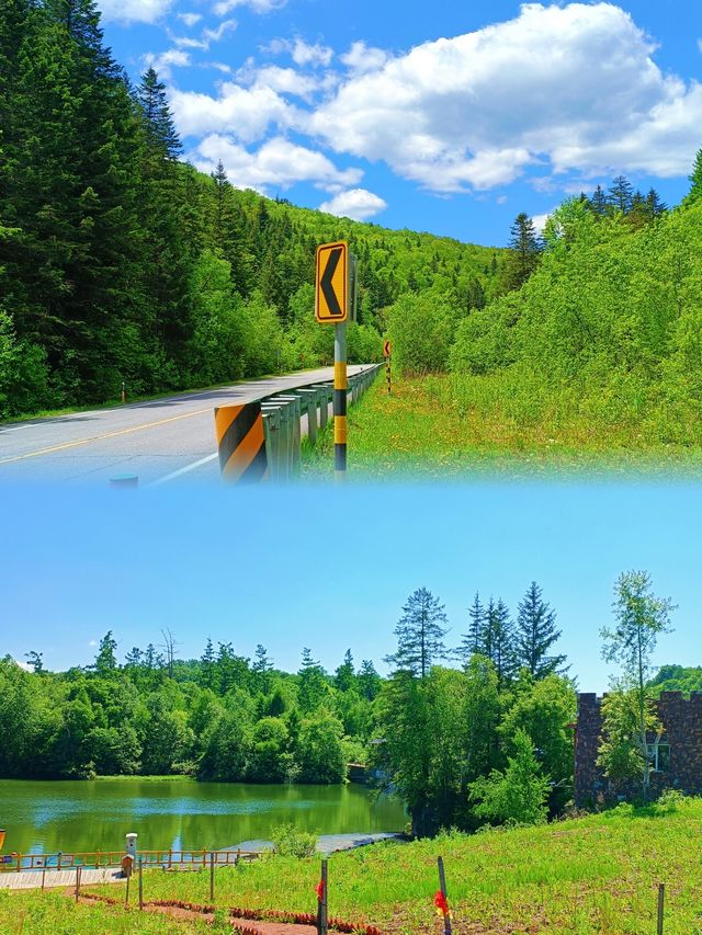 2. 一對情侶點樣靠佢哋喺長白山浪漫旅行？睇吓佢哋嘅經