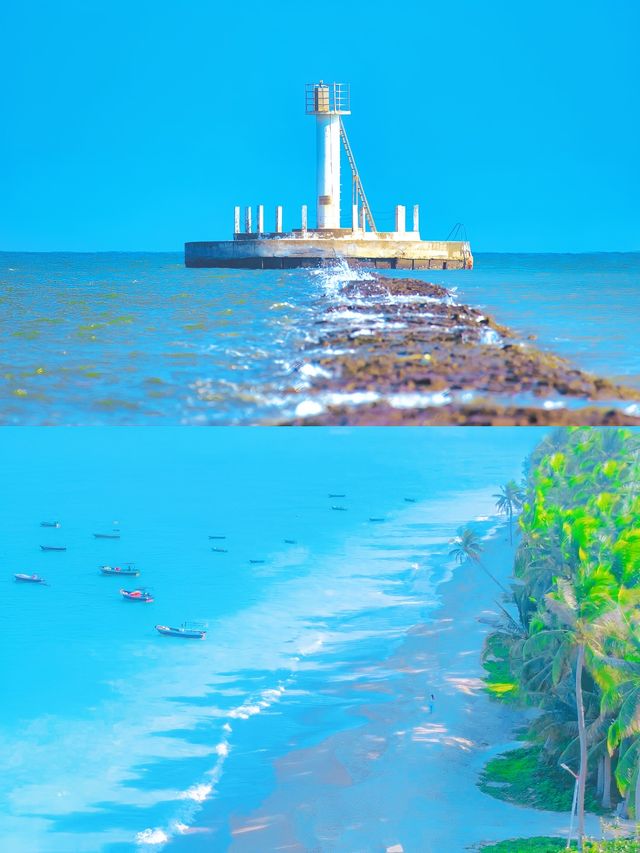 "瓊海分三部分：博鰲睇潮，清補涼續命，沙灘攤成鹹魚乾～"