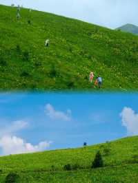 今年桂林小黃花嘅天花板：茶坪水庫