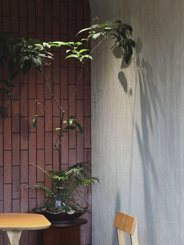 喺韓系咖啡店內，品嚐一口如雲霧般香甜飄逸嘅滋味。