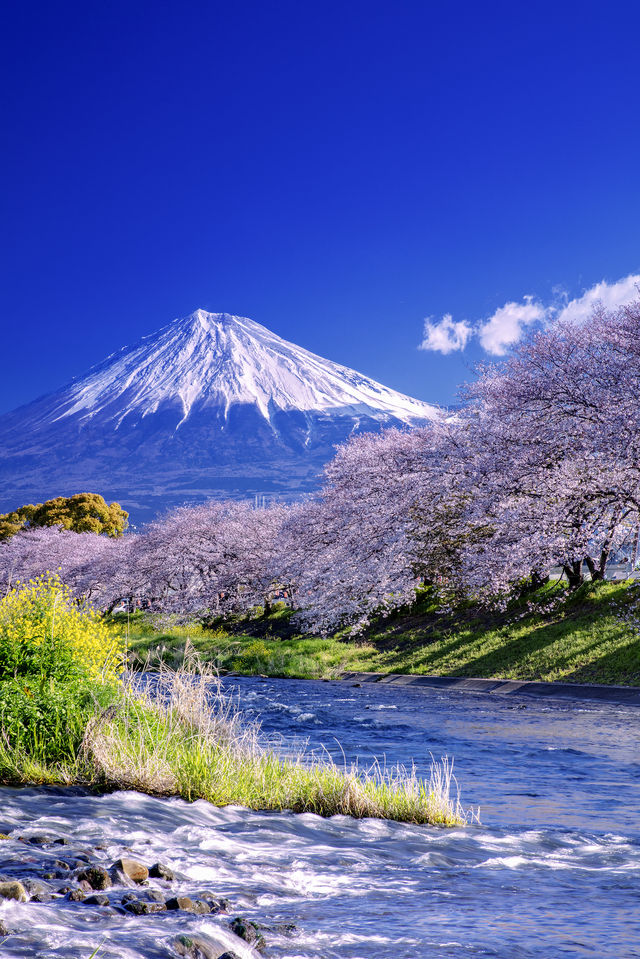 富士山通關速成指南，新手入境必睇
