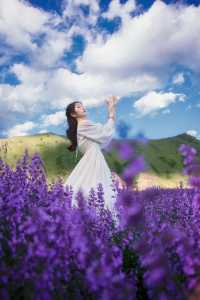 白裙與紫浪，薰衣草田裡的夏日情書