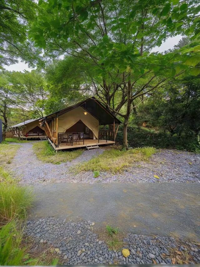 廣州1小時！住進花都森林裡的童話樹屋