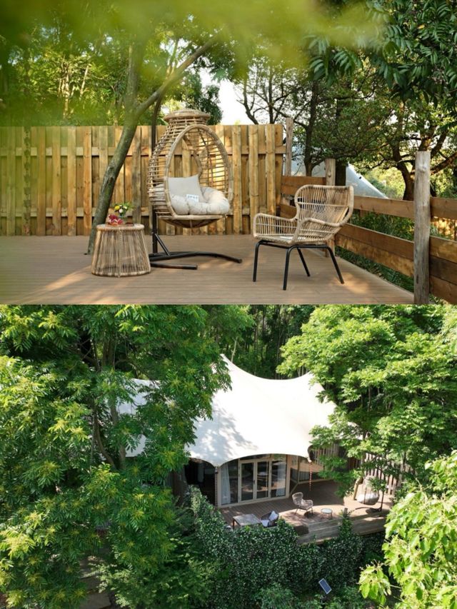 夏日避暑天花板 住進森林帳篷睇星星