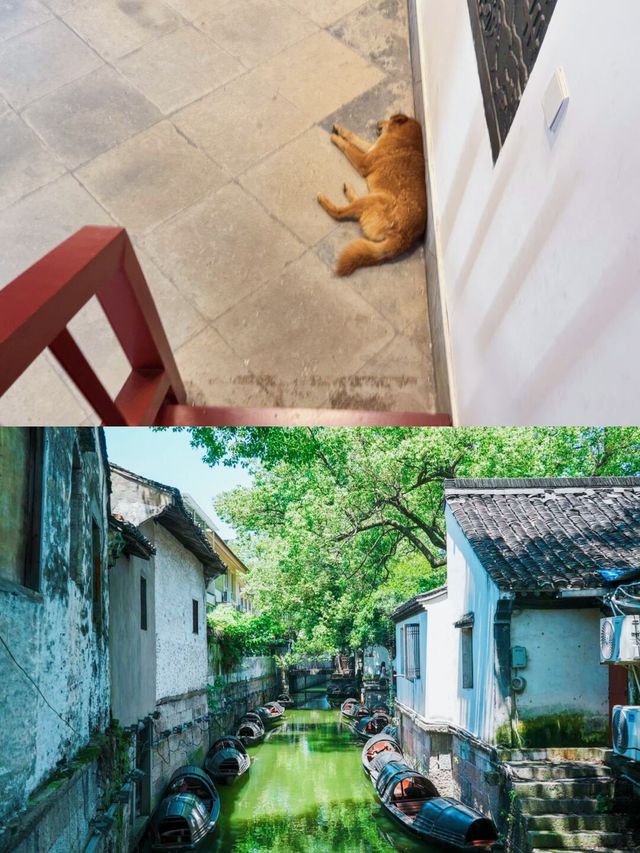 紹興旅行必睇！揀冬悅里，輕鬆贏盡江南水鄉之旅