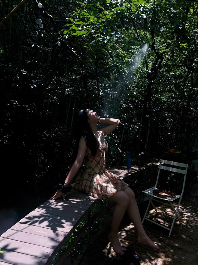 穿越魔法森林！丁達爾光線下的森系秘境太絕了