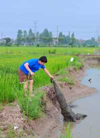 住進「嚮往的生活」，這間民宿藏著理想夏天