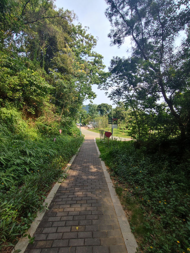 《河畔小憩，遇見公明的慢調時光》