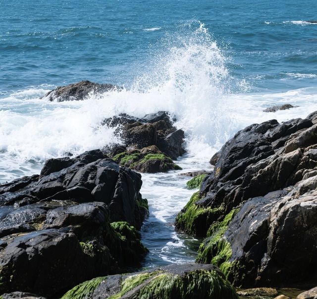 雞鳴島