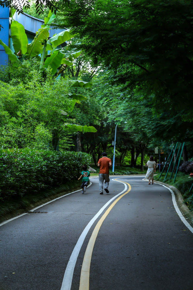 台州人少景美公園