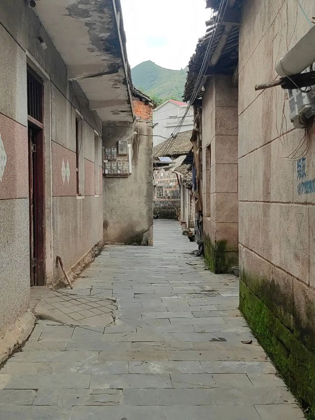 湖北通山西莊古村