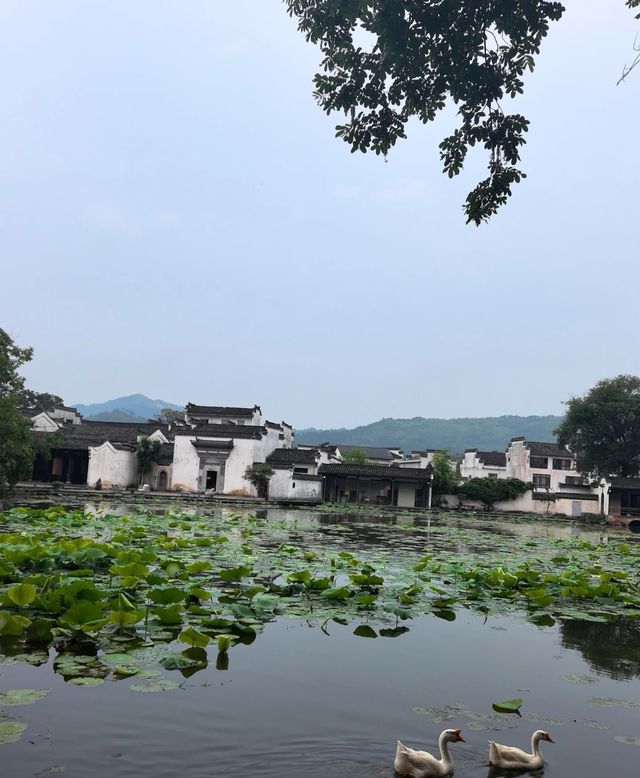 宏村﹣碧山﹣南屏﹣西遞﹣西溪﹣呈坎﹣黃山