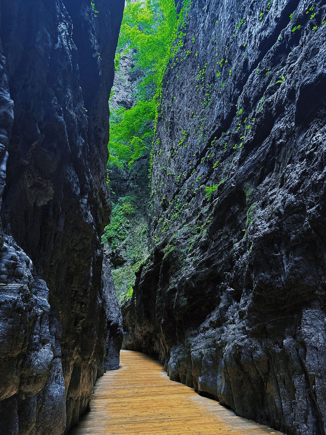 百里峽以徒步峽谷為主，適合鍾意自然風光同輕度探險嘅朋友。