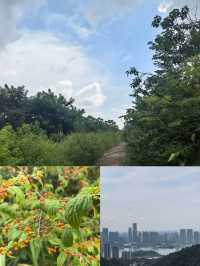 【長沙人私藏！呢條行山路線全程樹蔭+水庫遮太陽