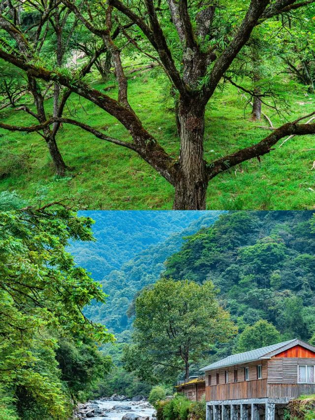 週末48小時,從成都逃進23℃的山裡! 週末48小時,從成都逃進23℃的山裡!