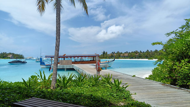 A Slice of Paradise with Exceptional Service and Cuisine A Slice of Paradise with Exceptional Service and Cuisine