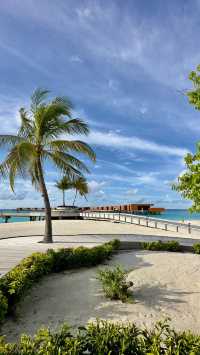 Comfortable Villas and Delicious Dining Experience