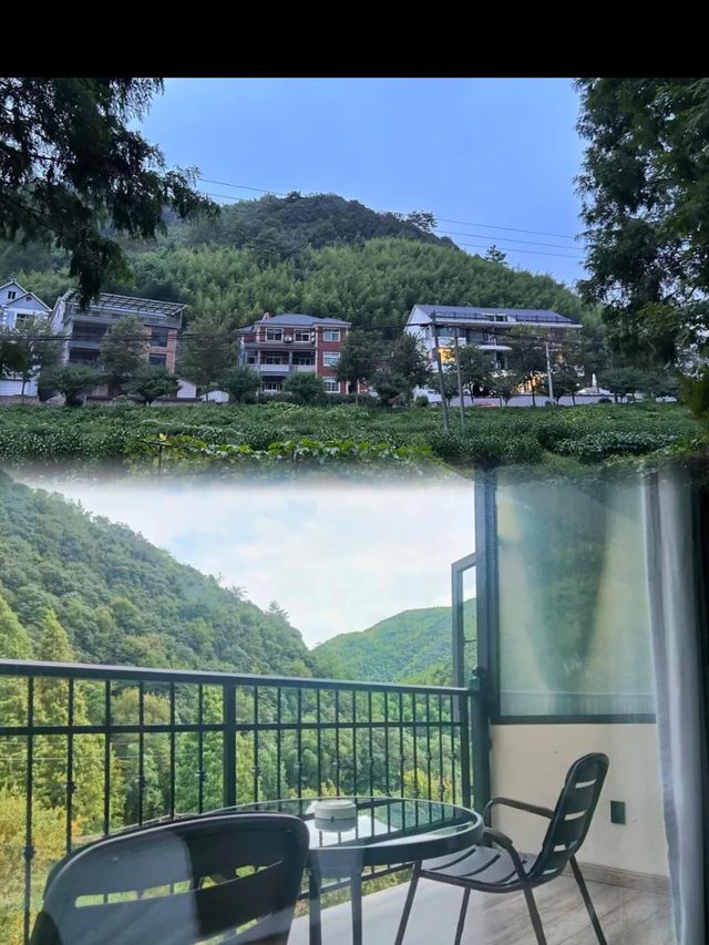 莫干山杉也美宿竹海泳池+步行達樂園，附拍照位