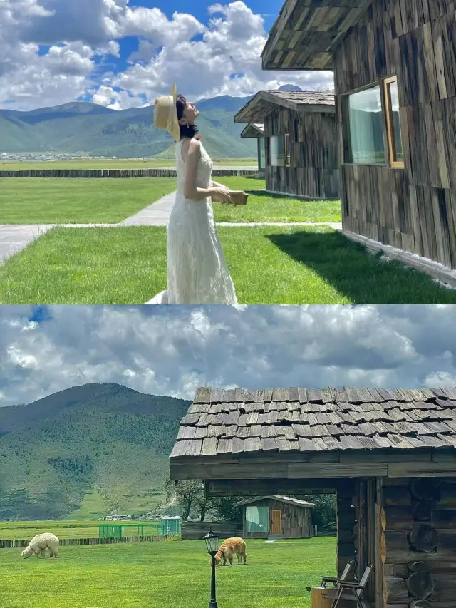 Fall into a Tibetan dream in a second｜Stay at the Snow Mountain Animal Ranch in Shangri-La