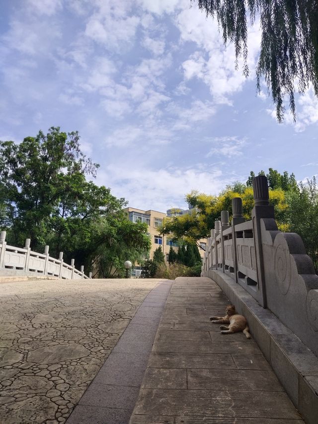 張面河畔私藏美景