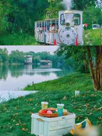 解鎖魯家灘濕地公園的隱藏玩法，邂逅自然與歡樂的完美融合