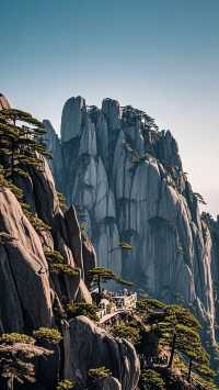 日出雲海黃山絕景