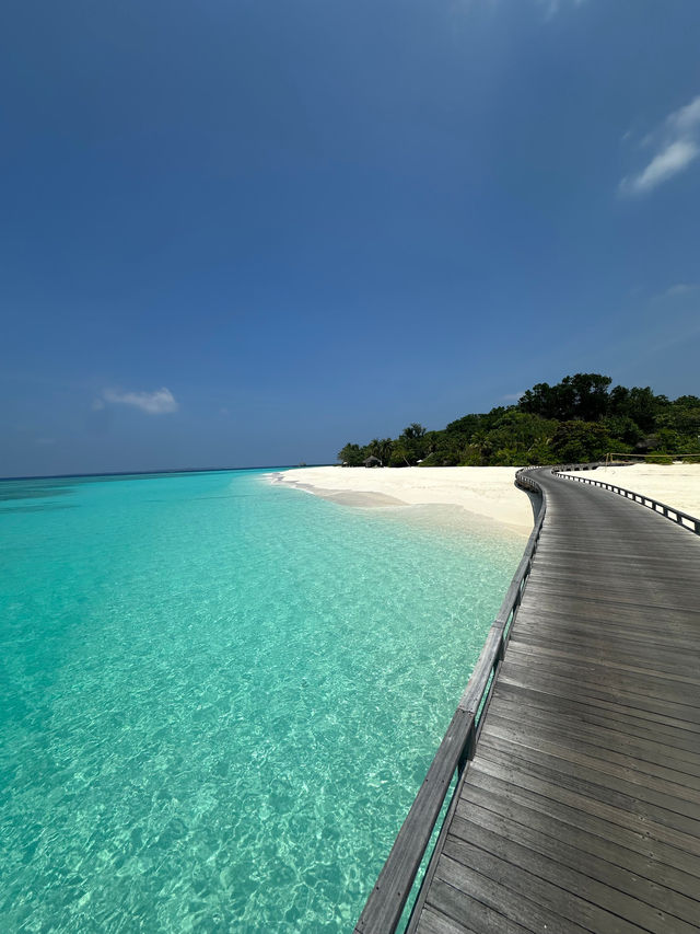 Hassle-Free Honeymoon Bliss