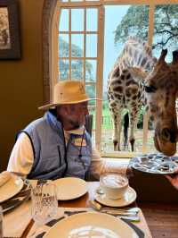 Giraffe Manor and Sasaab Lodge: A Unforgettable Adventure
