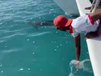 Fantastic Birthday Celebration on Neptune Cruise