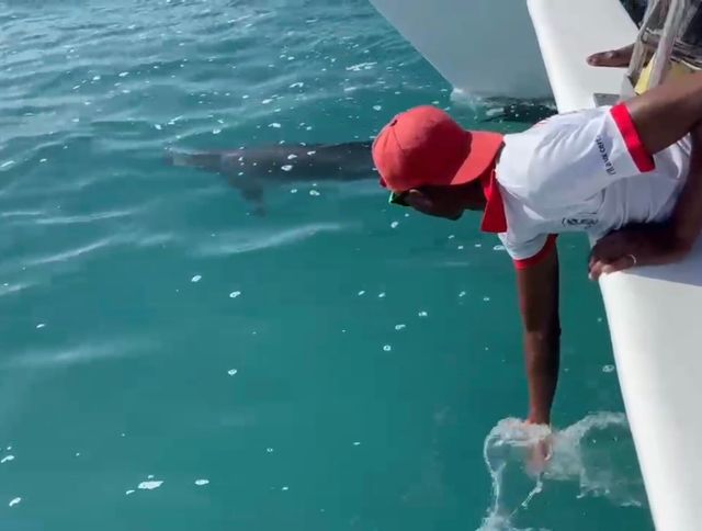 Fantastic Birthday Celebration on Neptune Cruise